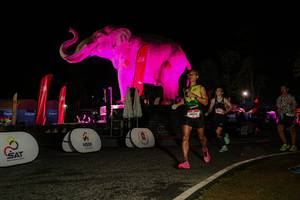 BIB: 
                            <button type="button" onclick="openModal(26534517)" class="btn btn-primary btn-sm float-right btn-popup" data-toggle="modal" data-target=".modal-high-quality">
                        <i class="fas fa-shopping-cart"></i> Add to Cart
                    </button>
                                            <button type="button" onclick="isThisMe(26534517, true)" class="btn btn-success btn-sm float-right btn-popup btn-isme hidden" data-toggle="tooltip" data-placement="bottom" title="นี่คือรูปของคุณใช่ไหม คลิกที่นี่เพื่อเอาเข้าอัลบั้ม">
                        <i class="fas fa-plus"></i> Add to album
                    </button>
                    <button type="button" onclick="isThisMe(26534517, false)" class="btn btn-warning btn-sm float-right btn-popup btn-isnotme hidden">
                        <i class="fas fa-ban"></i> Remove from album
                    </button>